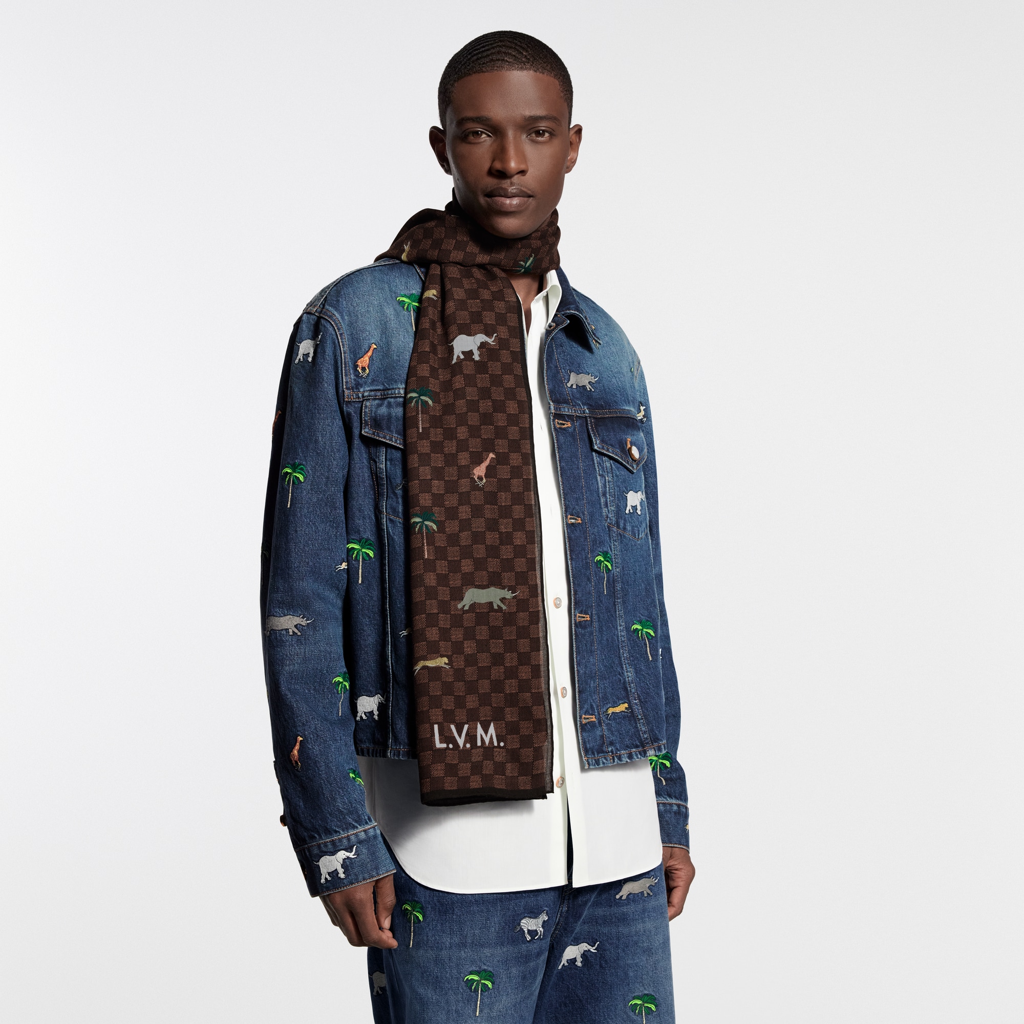 LV x The Darjeling Limited Damier Stole S00 - Men - Accessories
